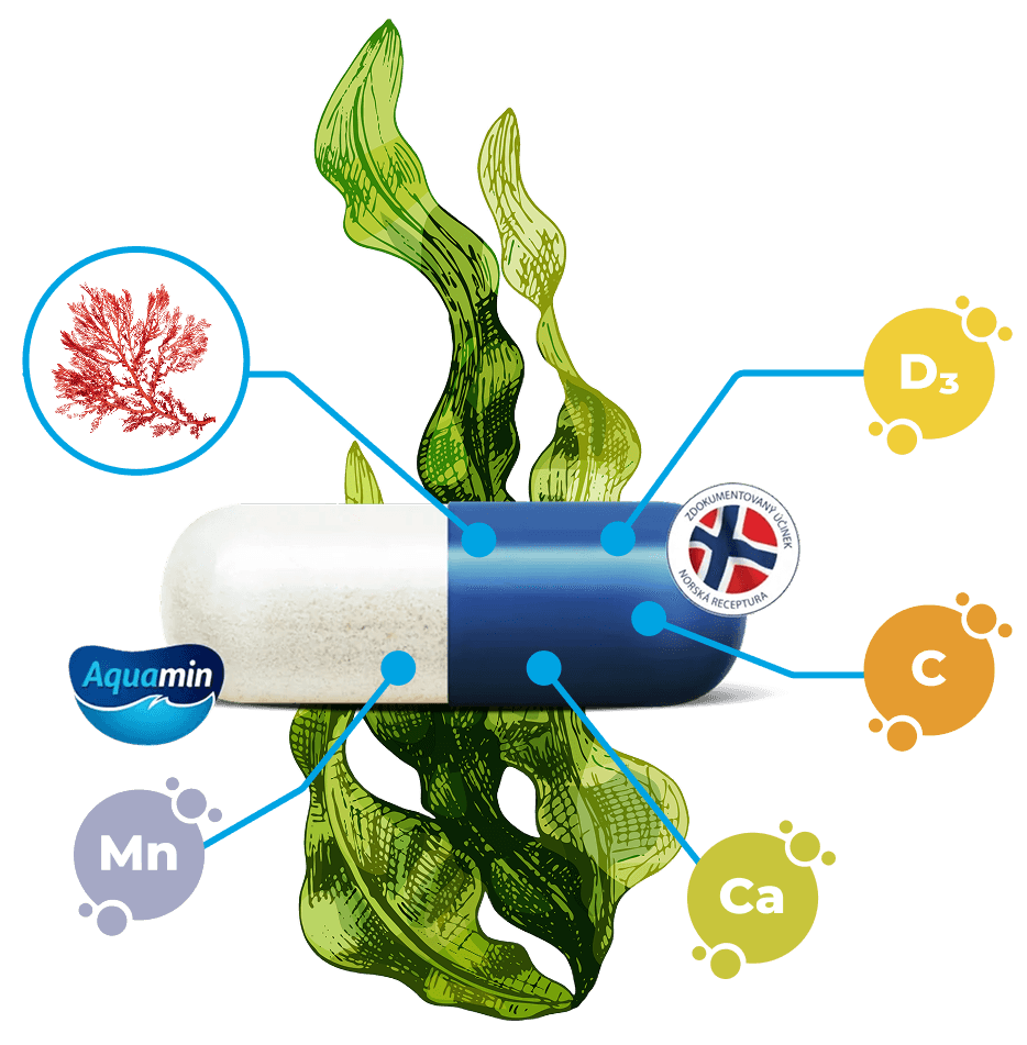 Podpora kostí CalciumControl