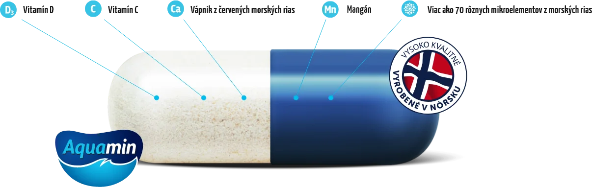 Kapsula CalciumControl je zložená z vitamínu D, vitamínu C, vápnika, mangánu, viac ako 70 rôznych mikroelementov z morských rias